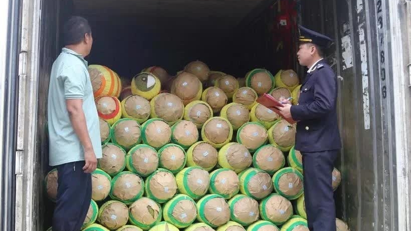 Agriculture - key cooperation area between Vietnam, China's Guangxi: website