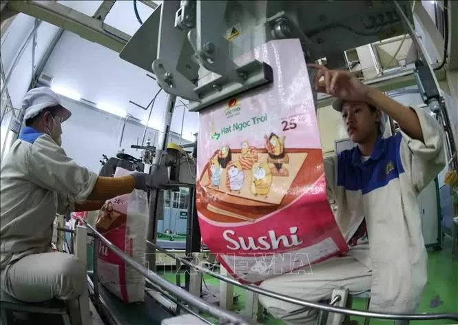Vietnam expected to export over 7.5 million tonnes of rice in 2025