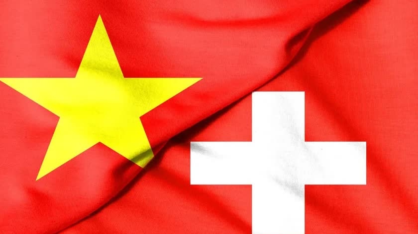 Overseas Vietnamese Lunar New Year gathering in Switzerland highlights homeland’s successes