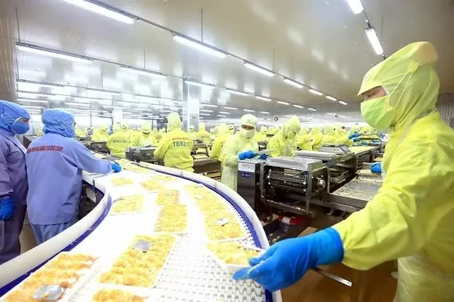Shrimp exports grow in the first month of 2025 Shrimp exports grow in the first month of 2025