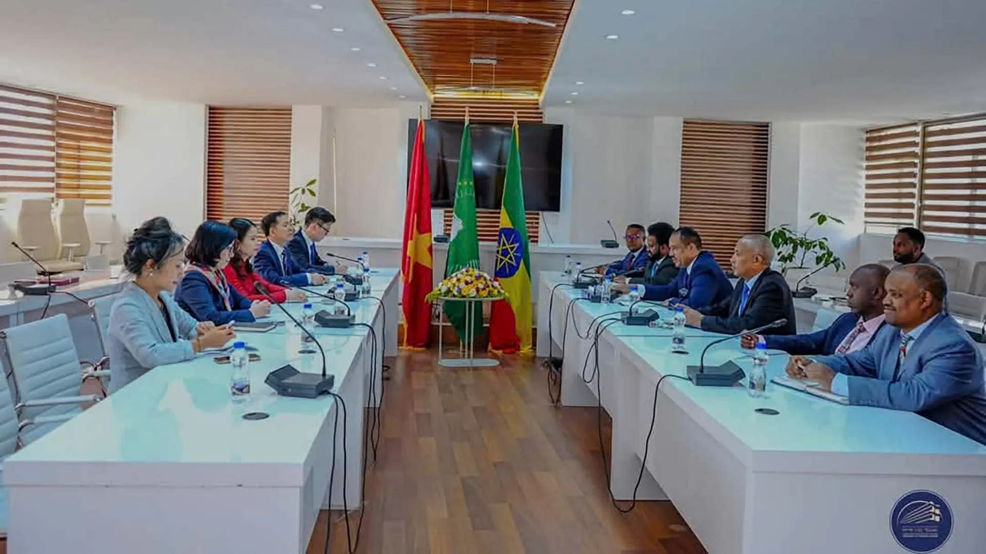 Vietnam, Ethiopia officials hold political consultation to strengthen cooperation in potential sectors