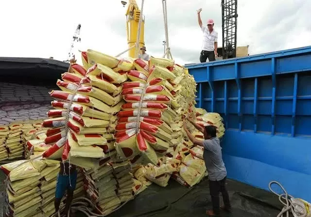 PM Pham Minh Chinh signed dispatch urging efforts to balance rice supply-demand PM Pham Minh Chinh signed dispatch urging efforts to balance rice supply-demand