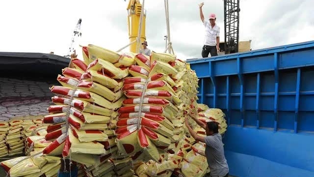 PM Pham Minh Chinh signed dispatch urging efforts to balance rice supply-demand