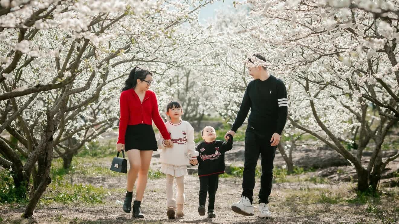 Moc Chau – Leading nature getaway in Vietnam’s Northwest