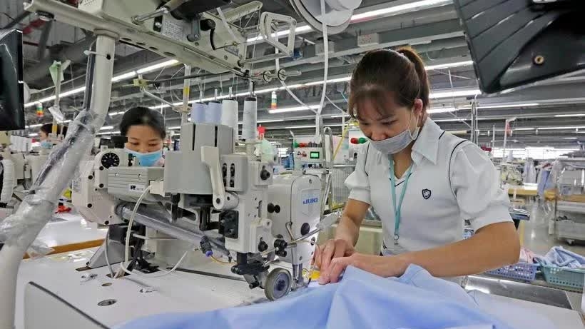 EVFTA generates positive outcomes after 5 years of implementation