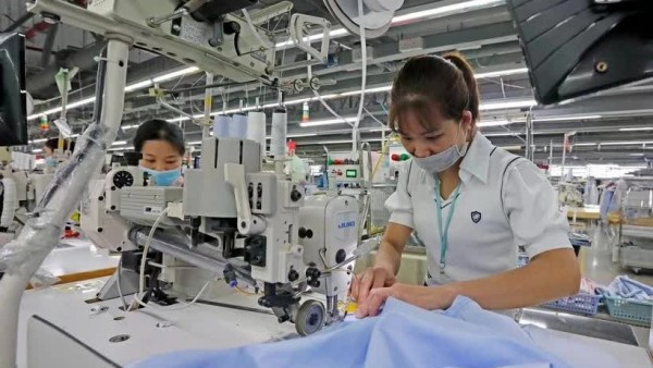 EVFTA generates positive outcomes after 5 years of implementation