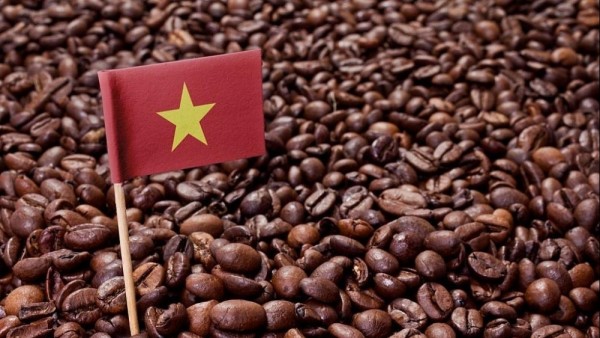 Vietnam's firm export coffee husk to RoK