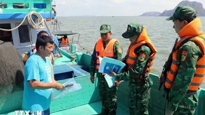 Kien Giang, Binh Thuan provinces step up efforts to tackle IUU fishing