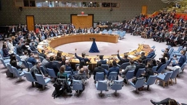 Vietnam calls for peaceful measures to put an end to Russia-Ukraine conflict: Ambassador