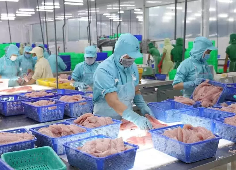 Int’l financial institutions show positive views on Vietnam's growth prospects Int’l financial institutions show positive views on Vietnam's growth prospects