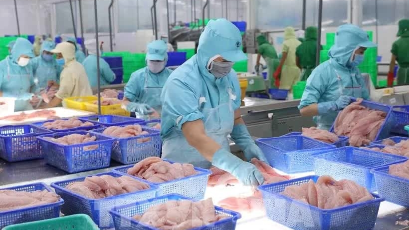 Int’l financial institutions show positive views on growth prospects of Vietnam