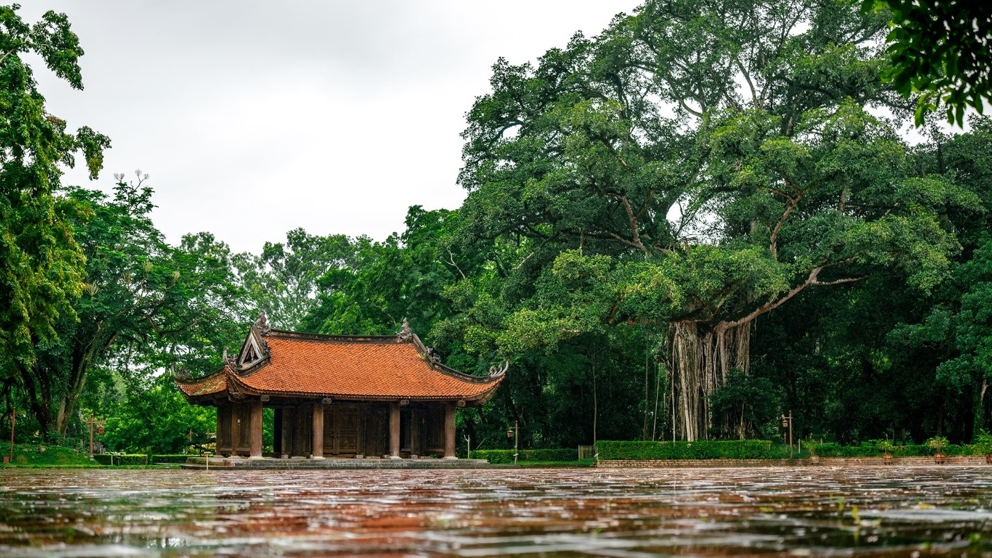 LAMORI: Built with elegance