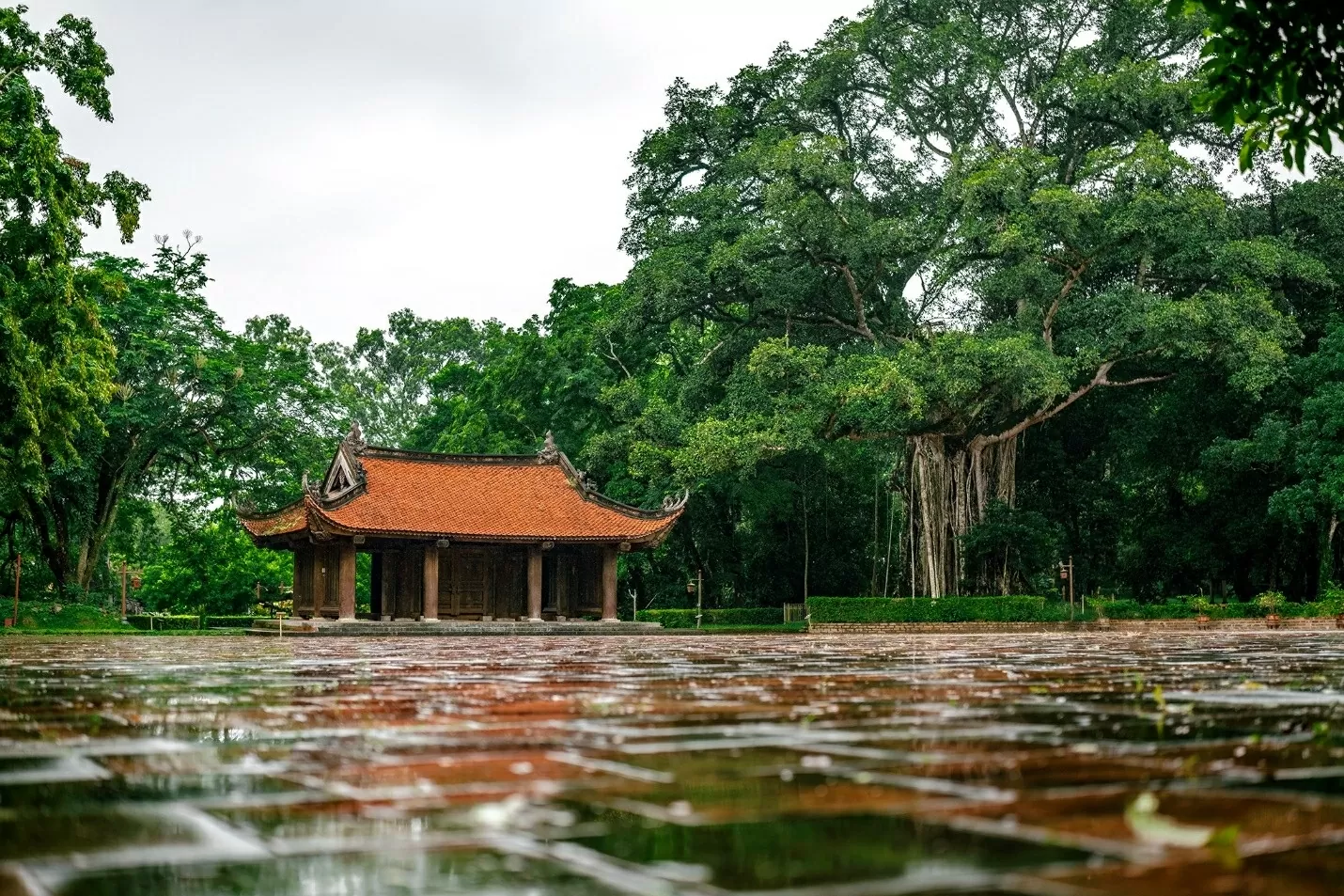 Một góc Lam Kinh “xanh”cổ kínhvà rêu phong Một góc Lam Kinh “xanh”cổ kínhvà rêu phong