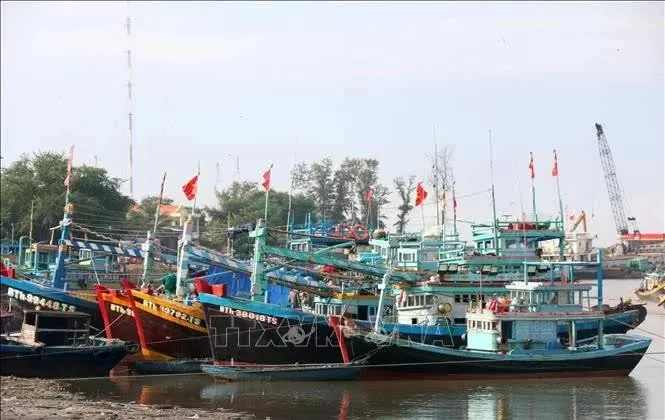 Ben Tre steps up efforts to combat IUU fishing