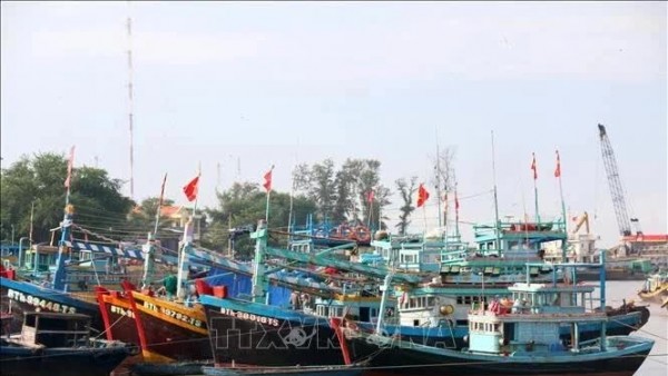 Ben Tre province steps up efforts to fight IUU fishing