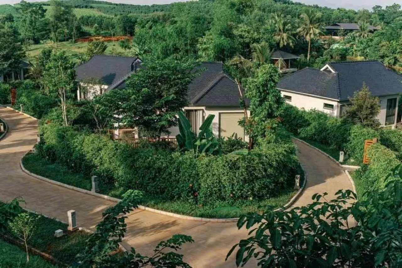 Bất tận màu xanh LAMORI. Bất tận màu xanh LAMORI.