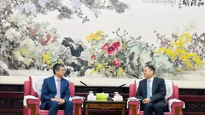 Vietnam, China promote people-to-people exchanges for mutual understanding: Ambassador