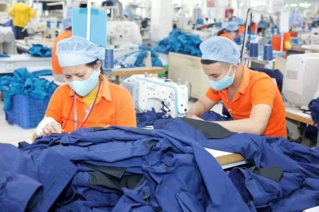 Vietnamese businesses to gain access to billion-dollar market with trade delegation to Japan Vietnamese businesses to gain access to billion-dollar market with trade delegation to Japan
