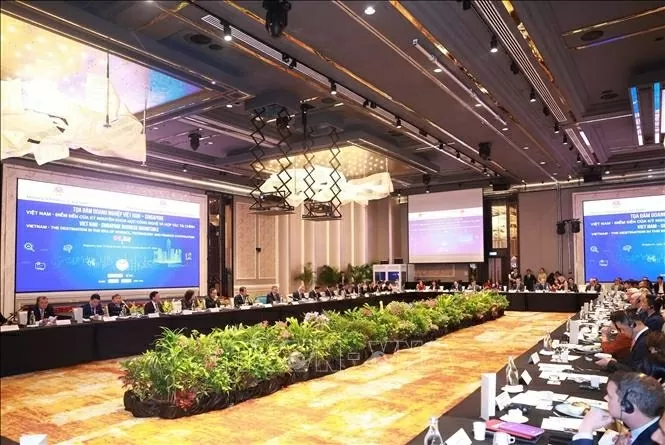 General Secretary To Lam attends Vietnam - Singapore business roundtable General Secretary To Lam attends Vietnam - Singapore business roundtable