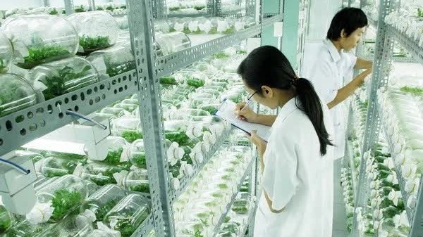 Vietnam partners with Israel firm for hi-tech agricultural innovation