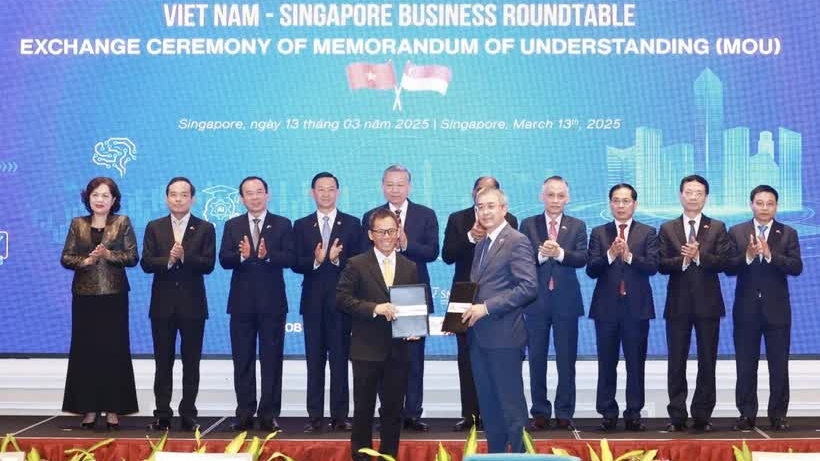 Vietnam Airlines partners with Singapore to elevate Long Thanh airport to int’l prominence
