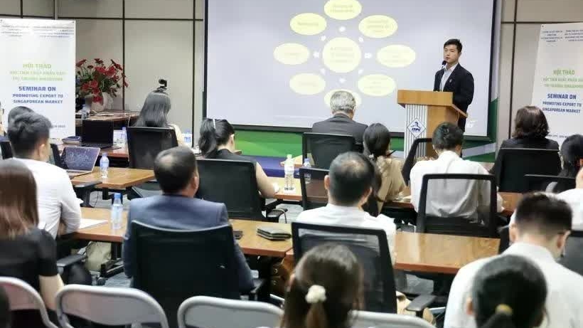 Vietnam and Singapore see ample room to enhance economic cooperation: Seminar