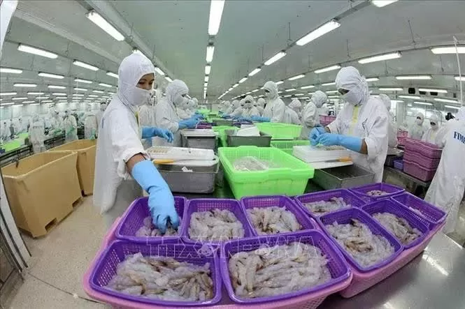 Vietnam becomes Brazil’s 2nd largest aquatic product supplier Vietnam becomes Brazil’s 2nd largest aquatic product supplier