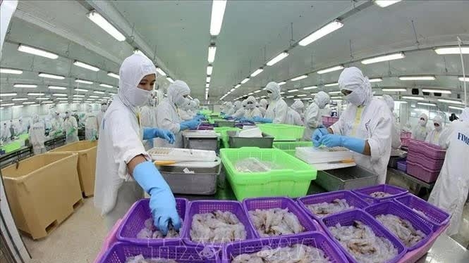 Vietnam becomes the second-largest supplier of aquatic products to Brazil