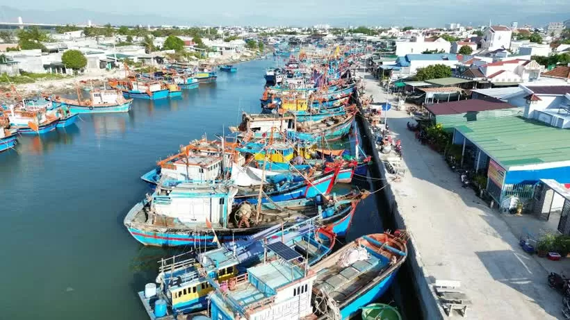Ninh Thuan continues efforts to combat IUU fishing