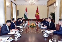 Vietnam, Hungary Foreign Ministers hold talks to promote  stronger multifaceted cooperation