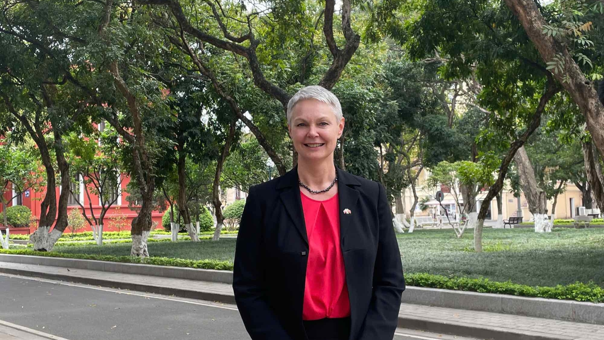 Experiences in effective public governance and digitalization from a Nordic country