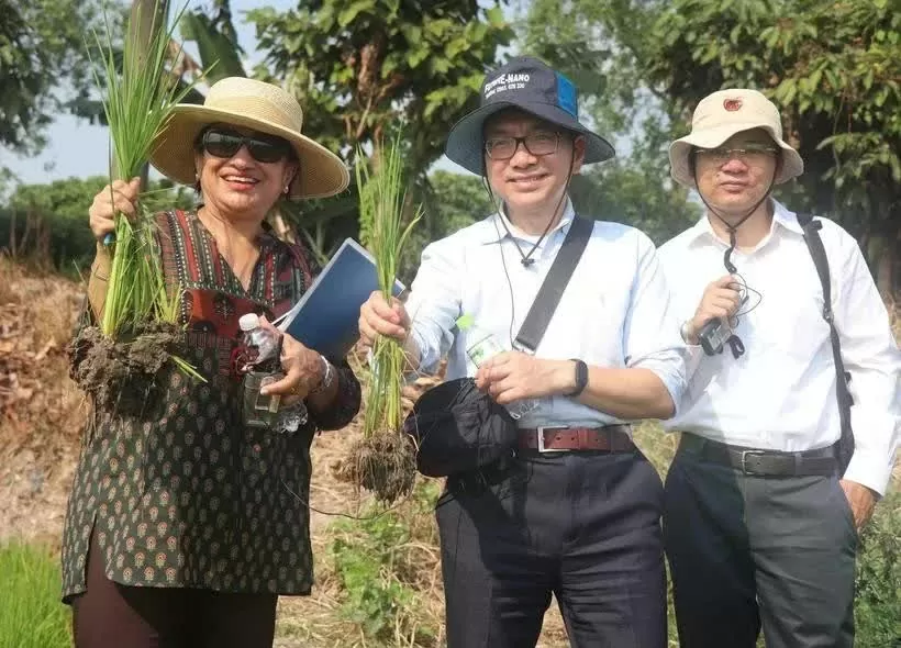 World Bank pledges continued support for Vietnam’s high-quality, low-emission rice project