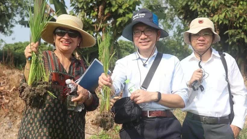 World Bank to support Vietnam’s high-quality, low-emission rice project