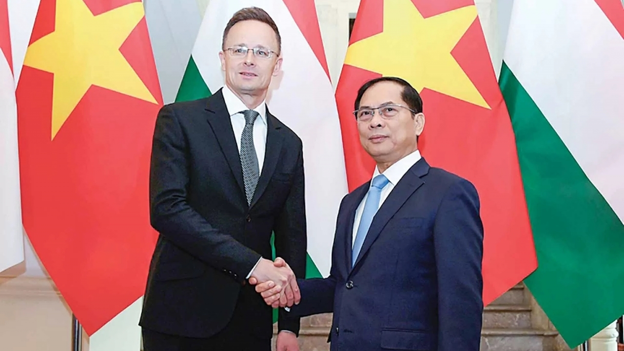 Vietnam-Hungary Relations: Today's success, Tomorrow's foundation