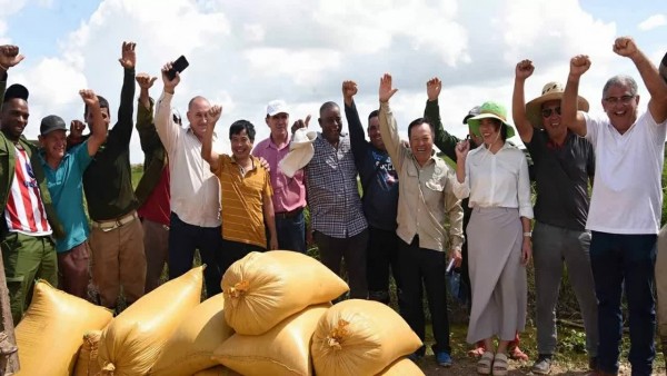 Rice Project cultivates the seeds of Vietnam-Cuba Friendship