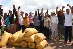 Rice Project cultivates the seeds of Vietnam-Cuba Friendship