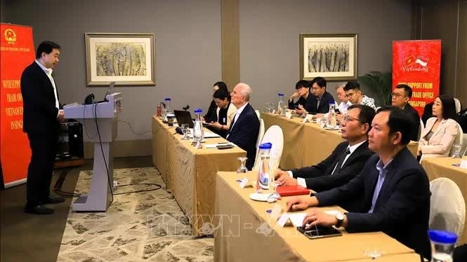 Vietnam, Singapore aim at cooperation in semiconductor industry: Seminar