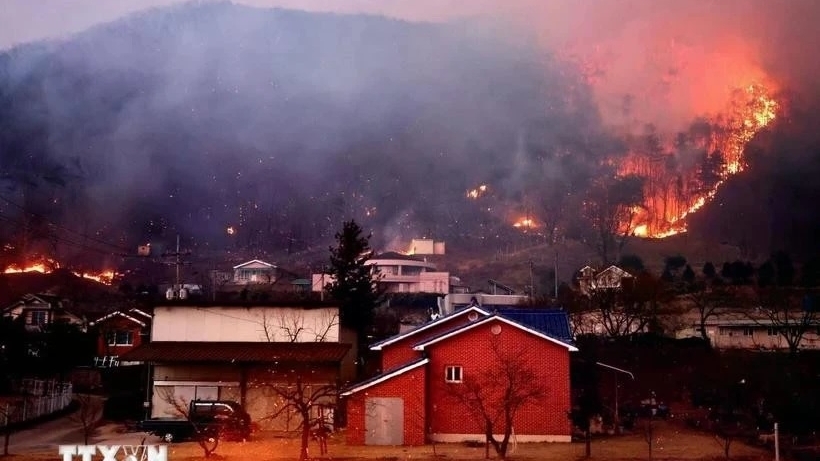 Vietnam extended sympathy over severe wildfires in RoK