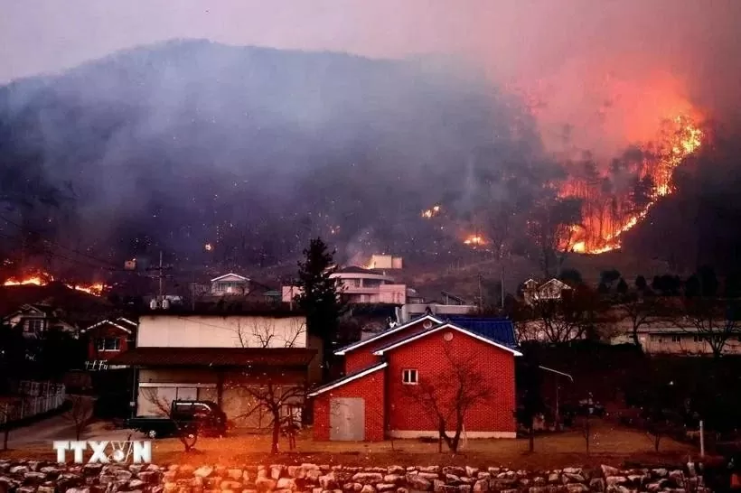 Vietnam extended sympathy over severe wildfires in RoK Vietnam extended sympathy over severe wildfires in RoK