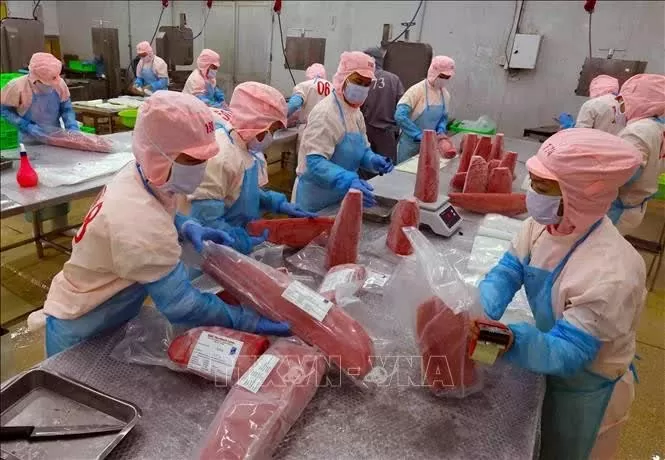 Vietnam’s seafood exports surge to 2.45 billion USD in Q1 Vietnam’s seafood exports surge to 2.45 billion USD in Q1