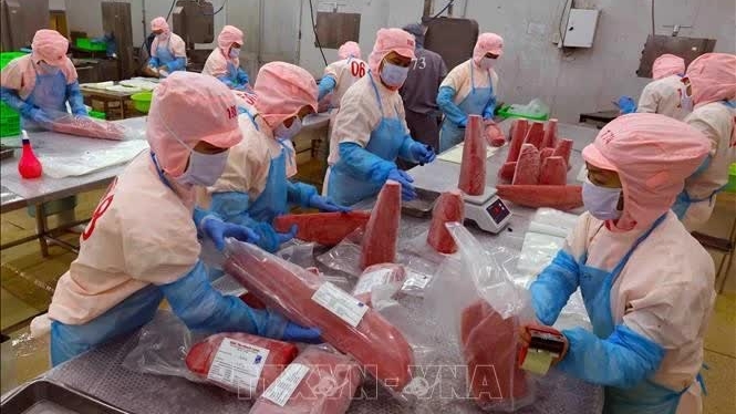 Vietnam’s seafood exports gains a total value of 2.45 billion USD in Q1: VASEP