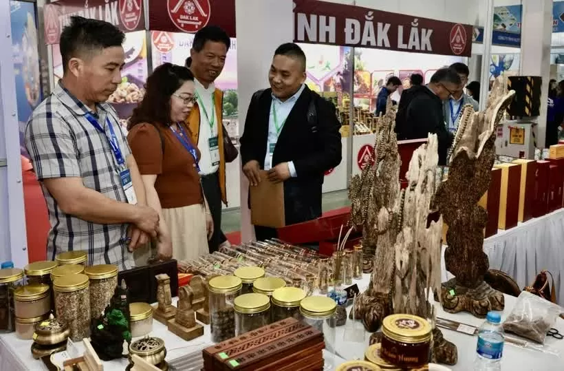 Vietnam Expo 2025 opens, spotlighting digital transformation, innovation