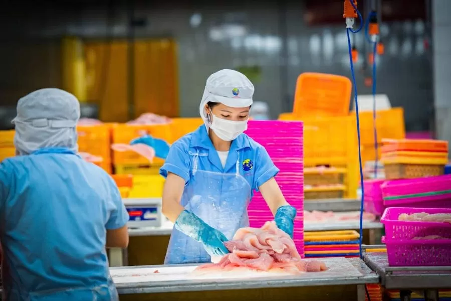 UOB Vietnam backs NAVICO in green. finance push for sustainable aquaculture UOB Vietnam backs NAVICO in green. finance push for sustainable aquaculture