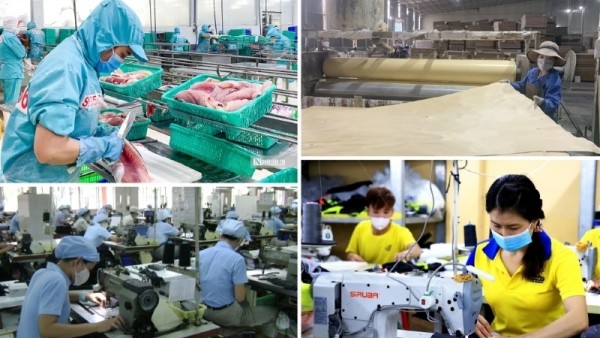 Politburo's resolution on private sector development hailed by business community