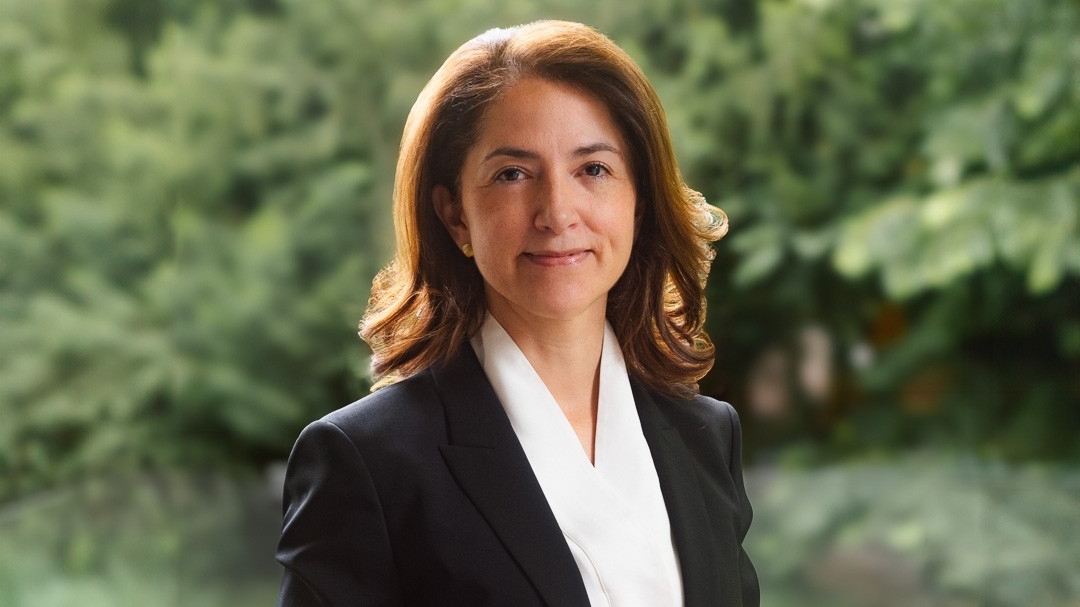 Vietnam, Colombia and P4G: 'Nurturing' new initiatives