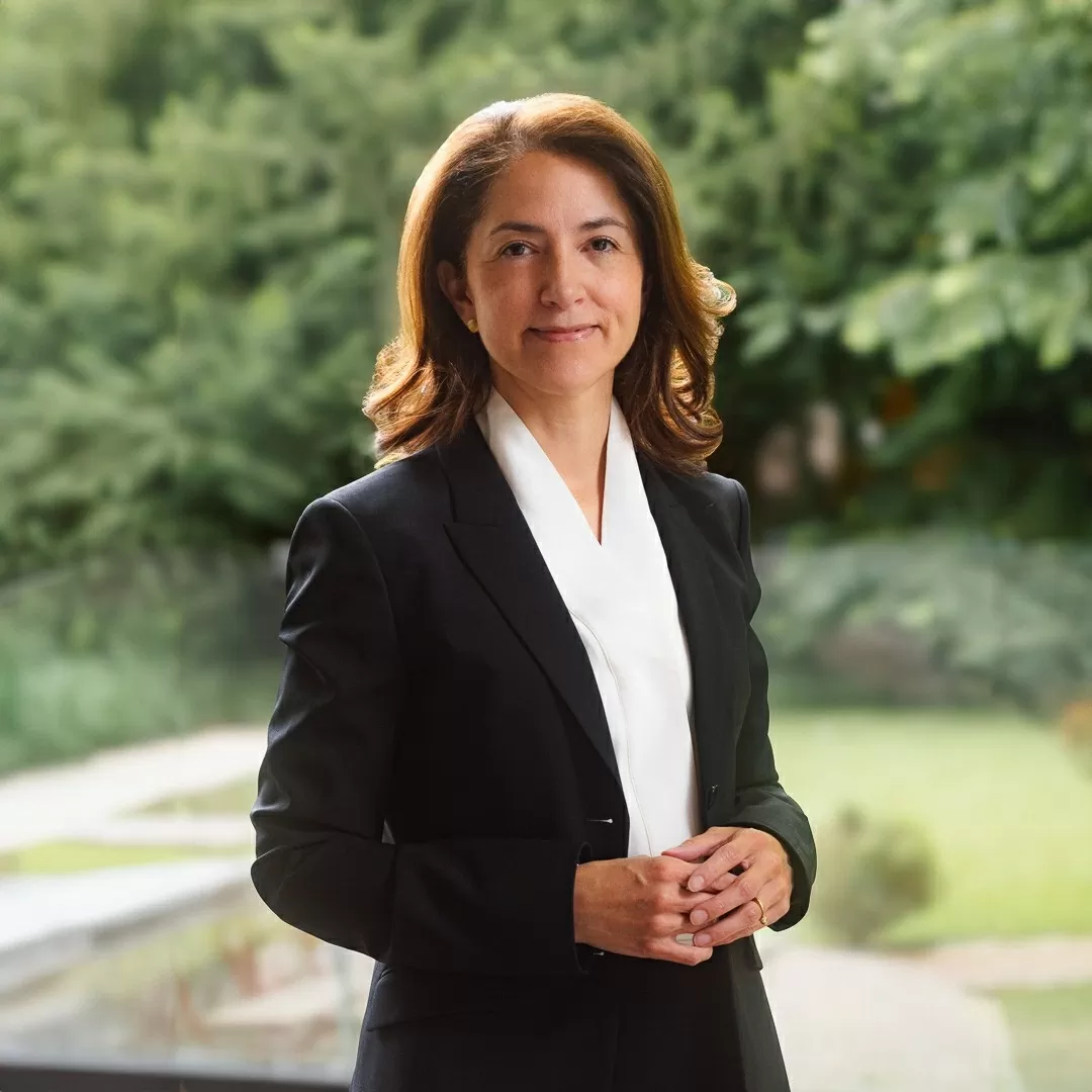 Vietnam, Colombia and P4G: 'Nurturing' new initiatives