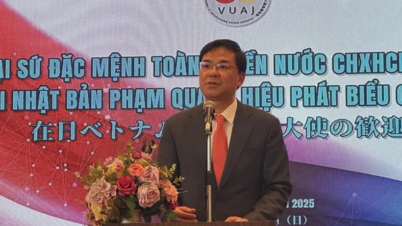 Vietnamese Associations in Japan helps Vietnamese community strengthen bonds among members