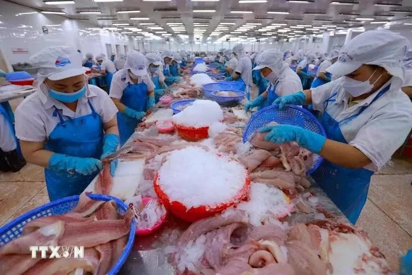 Vietnam takes swift, proactive actions in response to new US tariff policy Vietnam takes swift, proactive actions in response to new US tariff policy