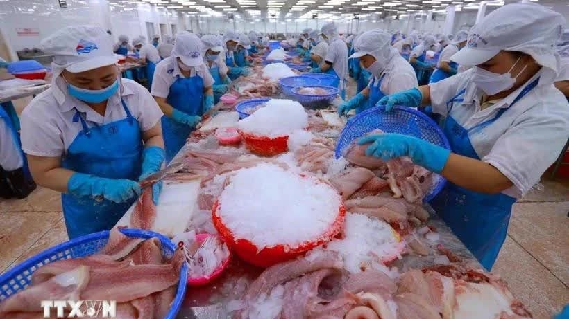 Vietnam takes swift, proactive actions in response to new US tariff policy: Experts