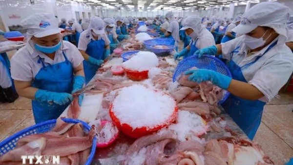 Vietnam takes swift, proactive actions in response to new US tariff policy: Experts